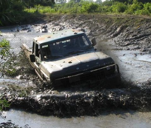 1979 Ford F-250 photo