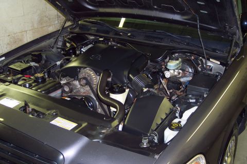 2001 Ford Crown Victoria - The engine bay of a 2001 Ford Crown Victoria, showing the V8 engine and associated components under the open hood.