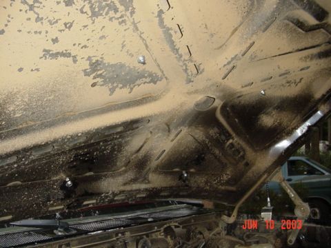 1989 Ford Bronco - Under the hood (still have to clean it up)