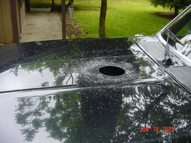 Black truck hood with a single round hole cut into it, yard in background