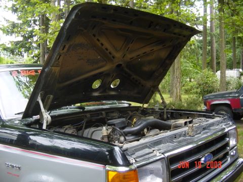 1989 Ford Bronco - That is alot of holes in my hood
