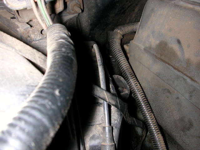 1990 Ford Bronco “Rusty”