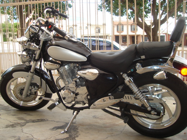 Black and chrome cruiser motorcycle on side stand parked by an iron fence and tree