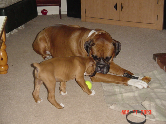 Arent they cute?