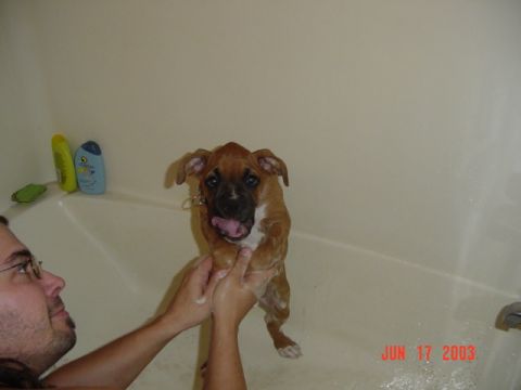 1989 Ford Bronco - Bathtime!!!!!!!!!!!!!