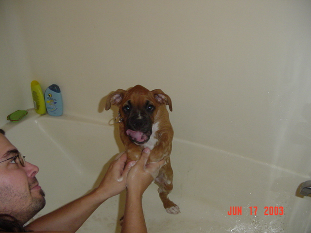 Bathtime!!!!!!!!!!!!!