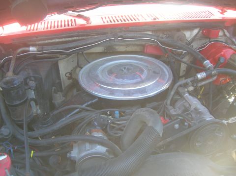 1985 Ford Bronco - shot of engine bay of 85 (were FI is going in)