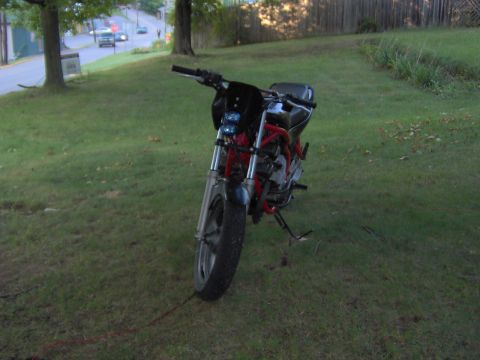 1993 Yamaha Seca II - A motorcycle sits on a grassy lawn, with a street and trees visible behind it.