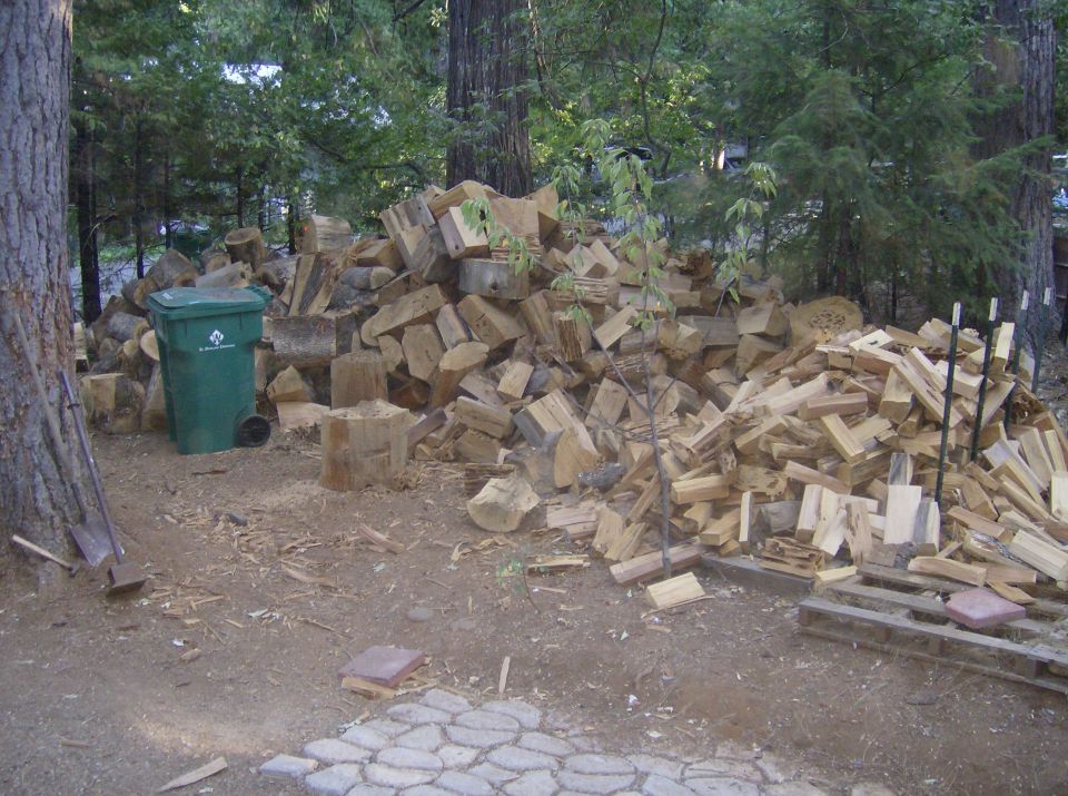 Pile of firewood and a green trash can in a wooded area