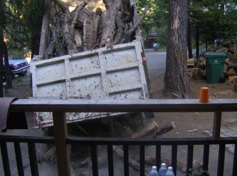 1986 Ford Bronco - A dump truck is filled with logs, with a car visible in the background.