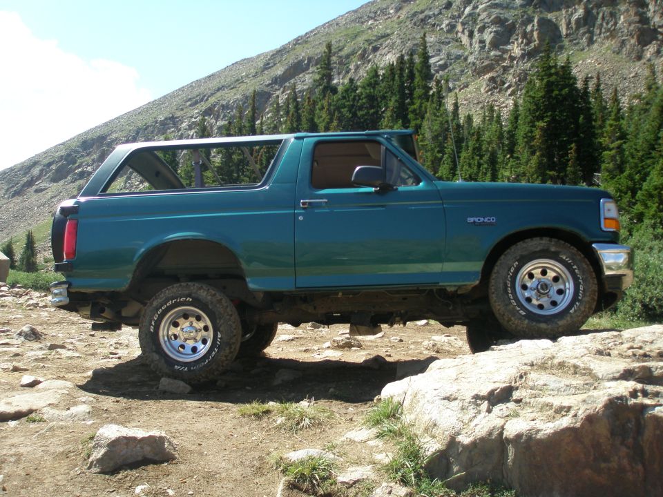 Bronco on poser rock.