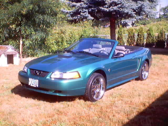 2000 Ford Mustang “My Stang”