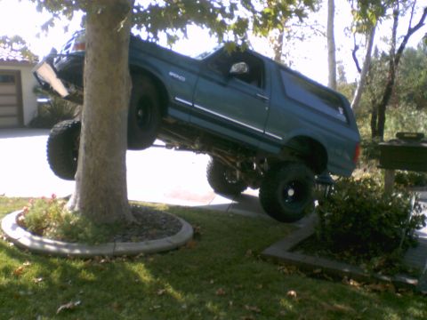 1996 Ford Bronco - This lifted 1996 Ford Bronco appears to be stuck or posing in a yard, with its front tires resting on a tree.