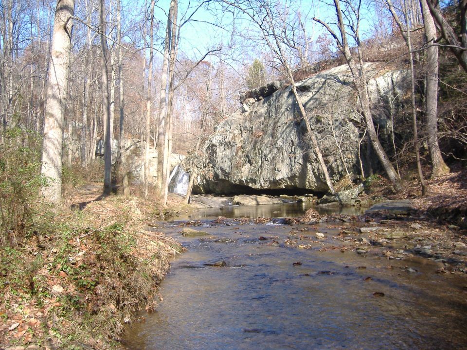 Wooded stream scene with large rock face and waterfall
