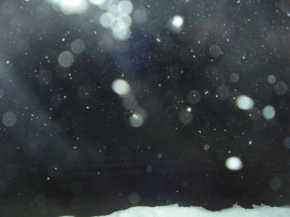 snow falling against a dark background with some bright bokeh effects