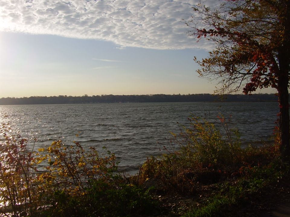 lake with trees and clouds, text says SUPERMOTORS.NET