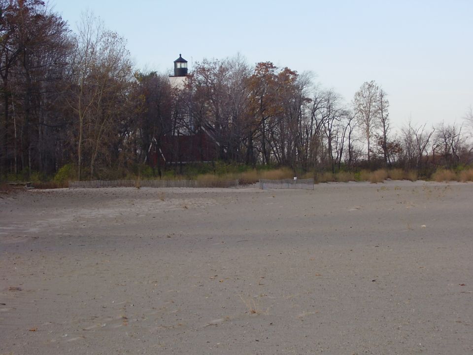 Lighthouse behind trees on a sandy shore