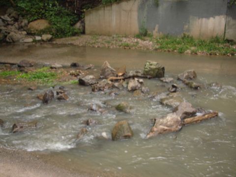 1996 Ford Bronco - A creek flows over rocks and logs, with a concrete wall and vegetation in the background.