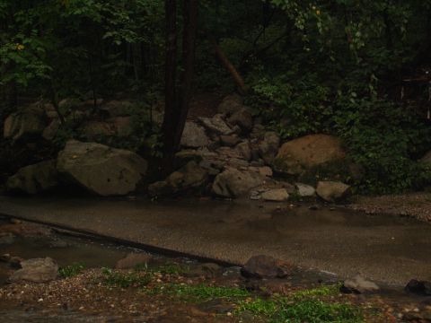 1996 Ford Bronco - A paved road crosses a shallow stream surrounded by rocks and dense foliage.