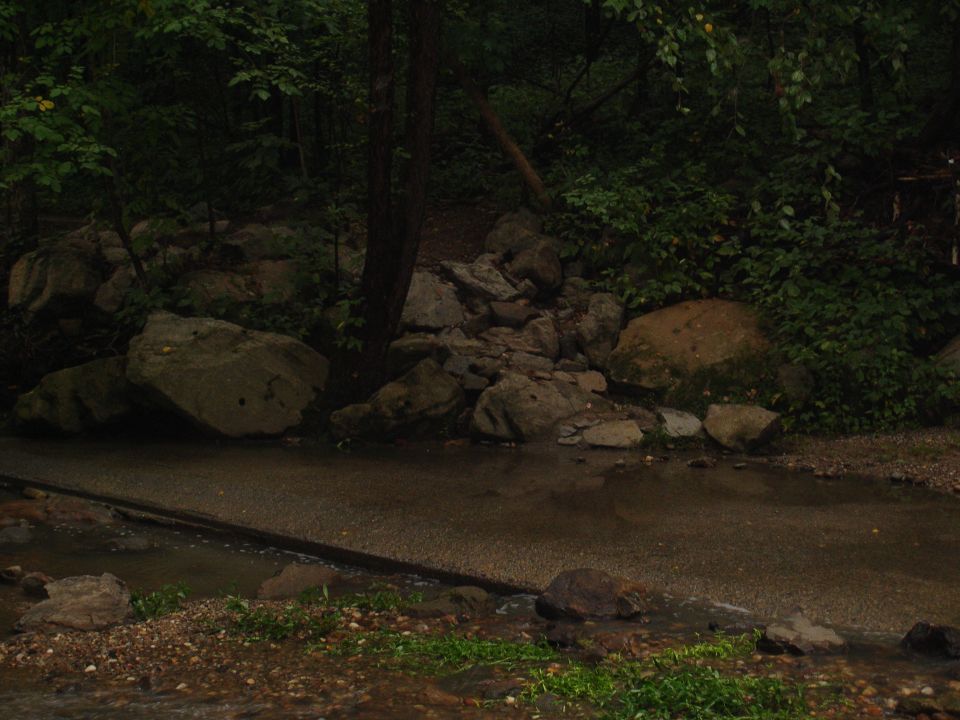 roadway goes through a shallow stream with rocks and trees
