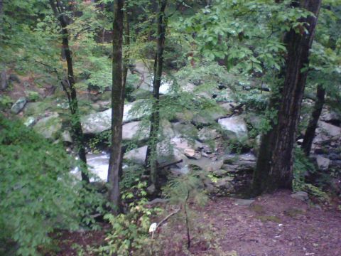 1996 Ford Bronco - A natural scene depicts a stream flowing through a rocky, wooded area with lush green foliage.