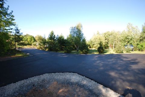 1996 Ford Bronco - A paved driveway curves through a wooded area under a clear blue sky.