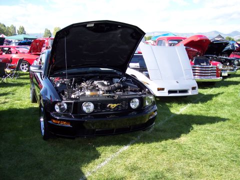 1972 Ford Ranchero - A black Ford Mustang is displayed with its hood open at an outdoor car show.