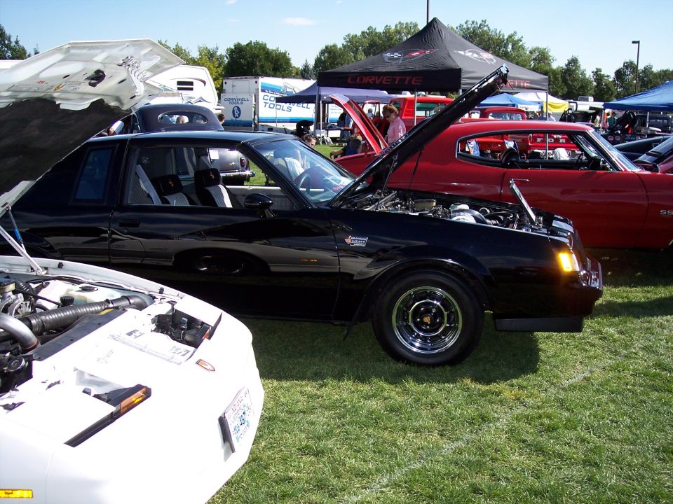 Black coupe with hood open, showing engine. White car in foreground, red car behind