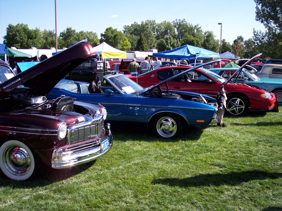 Several cars parked on grass at an outdoor event, hoods up on some