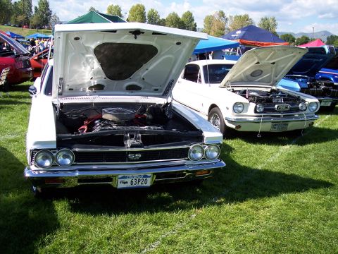 1972 Ford Ranchero - Two classic cars, a 1965 Ford Mustang and another vehicle, are displayed with their hoods open at an outdoor event.