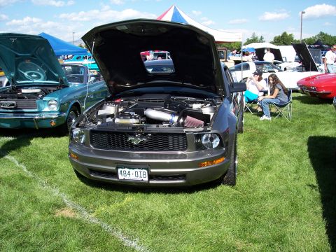 1972 Ford Ranchero - Two Ford Mustangs, one modern and one classic, displayed with hoods open at an outdoor car show.