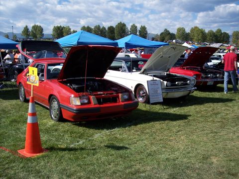 1972 Ford Ranchero - Several cars are displayed with their hoods open at an outdoor event under blue tents.
