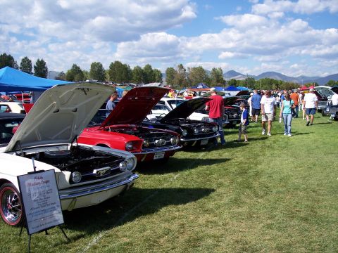 1972 Ford Ranchero - A row of classic Ford Mustangs are displayed with their hoods open at an outdoor car show on a sunny day.