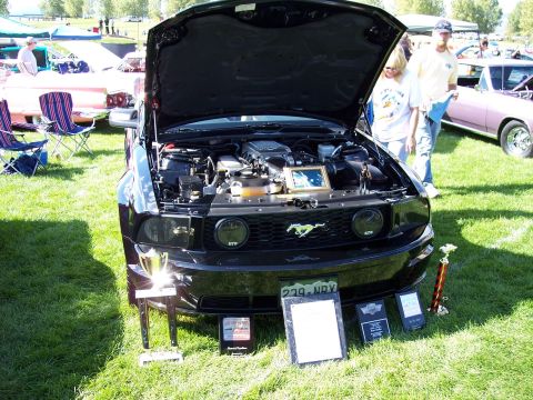 1972 Ford Ranchero - Black Ford Mustang displayed with its hood open, engine visible, and awards in front.