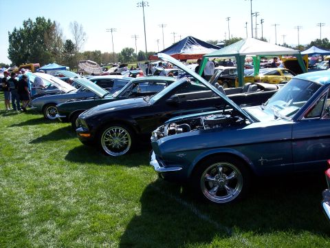 1972 Ford Ranchero - A lineup of classic cars are displayed on a grassy field under a sunny sky, with their hoods open for viewing.