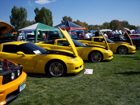 1972 Ford Ranchero - Several yellow sports cars are lined up on a grassy field with their hoods open, likely at a car show or exhibition.