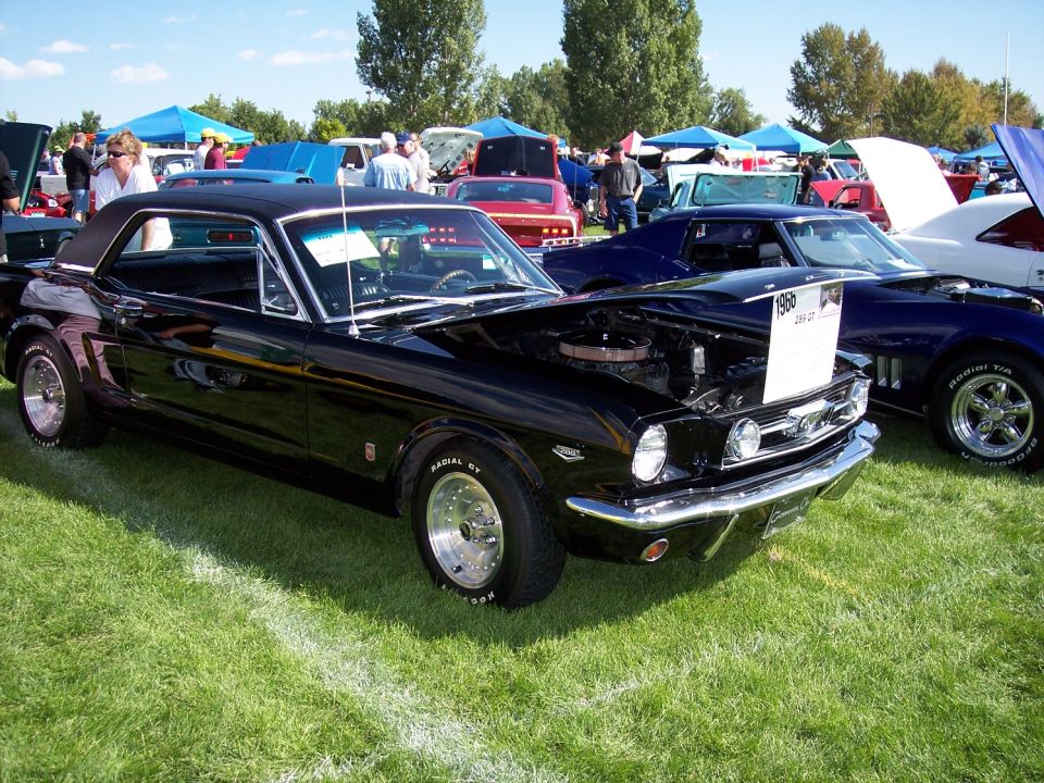 Black 1966 Ford Mustang coupe with hood open, parked on grass at a car show next to a dark blue car
