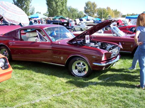 1972 Ford Ranchero - A maroon 1965 Ford Mustang Fastback is displayed with its hood open at an outdoor car show.