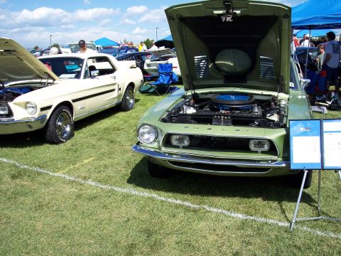 1972 Ford Ranchero - Two classic cars, a green 1968 Shelby GT500 and a cream-colored car, displayed with hoods open at an outdoor event.