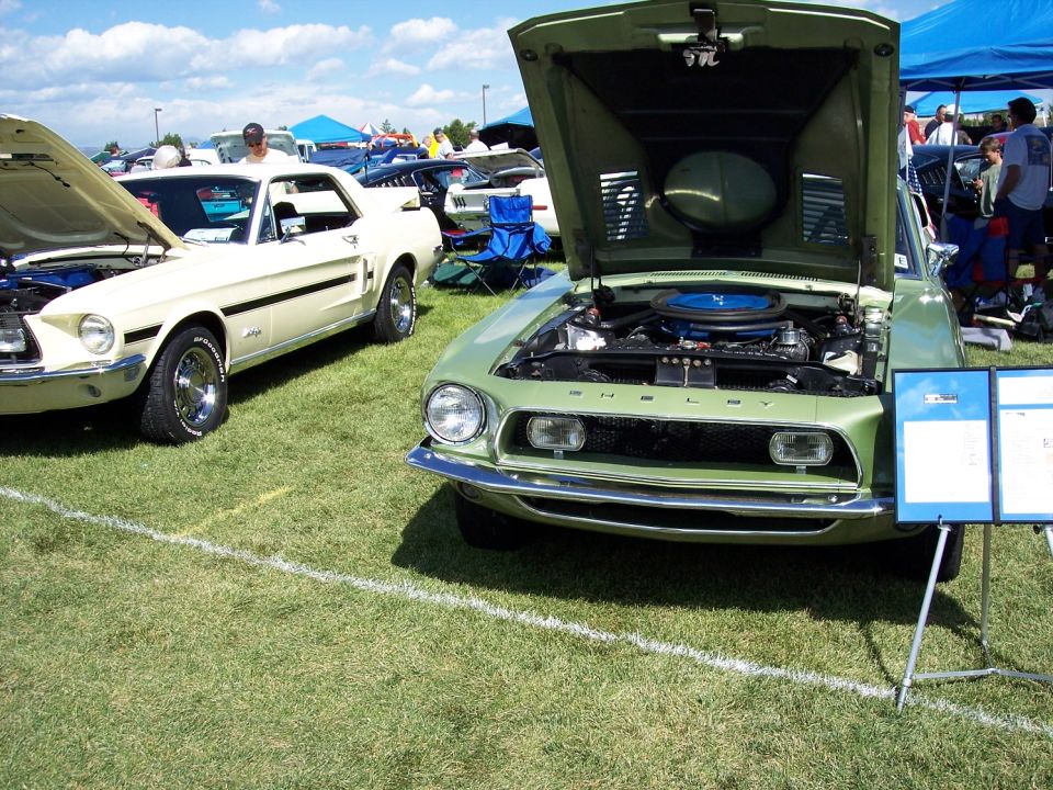 1968 Ford Mustang Shelby GT500 and a cream-colored classic car with hoods open