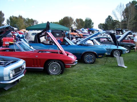 1972 Ford Ranchero - Several classic American convertibles are displayed on a grassy field under a bright sky.