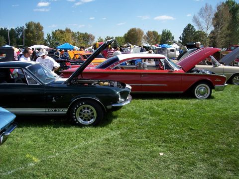 1972 Ford Ranchero - A 1967 Ford Mustang GT350 is parked on grass at an outdoor car show with other vehicles.