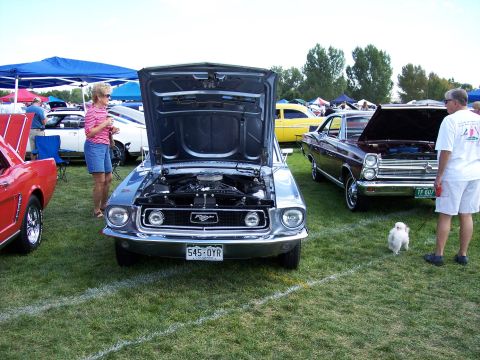 1972 Ford Ranchero - A car show features several classic vehicles, including a blue Ford Mustang with its hood open.
