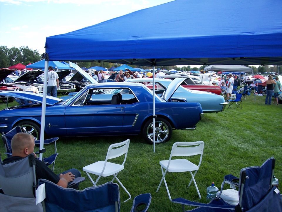 Blue 1965 Ford Mustang coupe with chrome wheels parked on grass