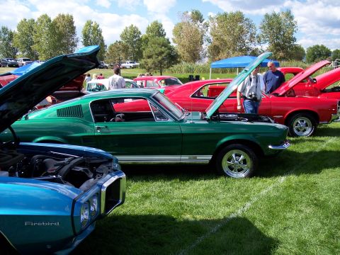 1972 Ford Ranchero - Several classic cars are displayed on a grassy field with their hoods open.