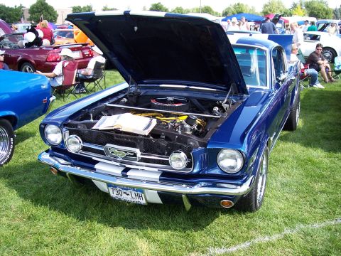 1972 Ford Ranchero - A blue 1965 Ford Mustang is displayed with its hood open at an outdoor car show.