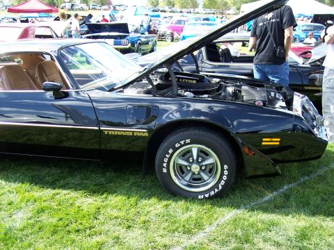 1972 Ford Ranchero - Black 1977-1981 Pontiac Trans Am at an outdoor car show with hood open.