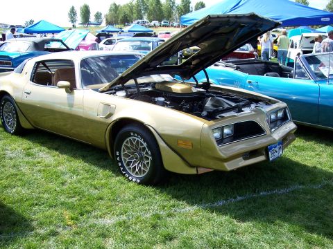 1972 Ford Ranchero - A gold 1977 Pontiac Firebird Trans Am is displayed with its hood open at an outdoor car show.