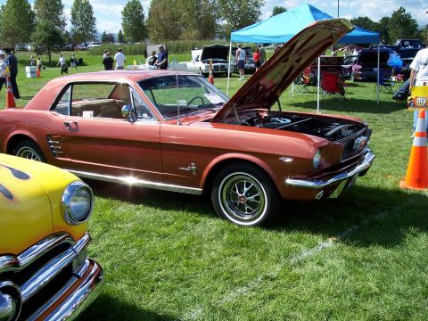 1972 Ford Ranchero - A classic orange 1965 Ford Mustang is displayed with its hood up at an outdoor car show.