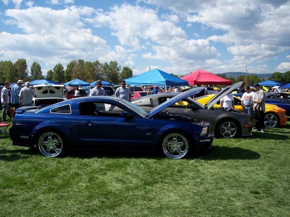 Blue 2005 Ford Mustang GT parked on grass with hoods open on other cars